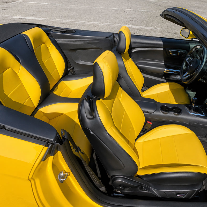 Black Yellow3