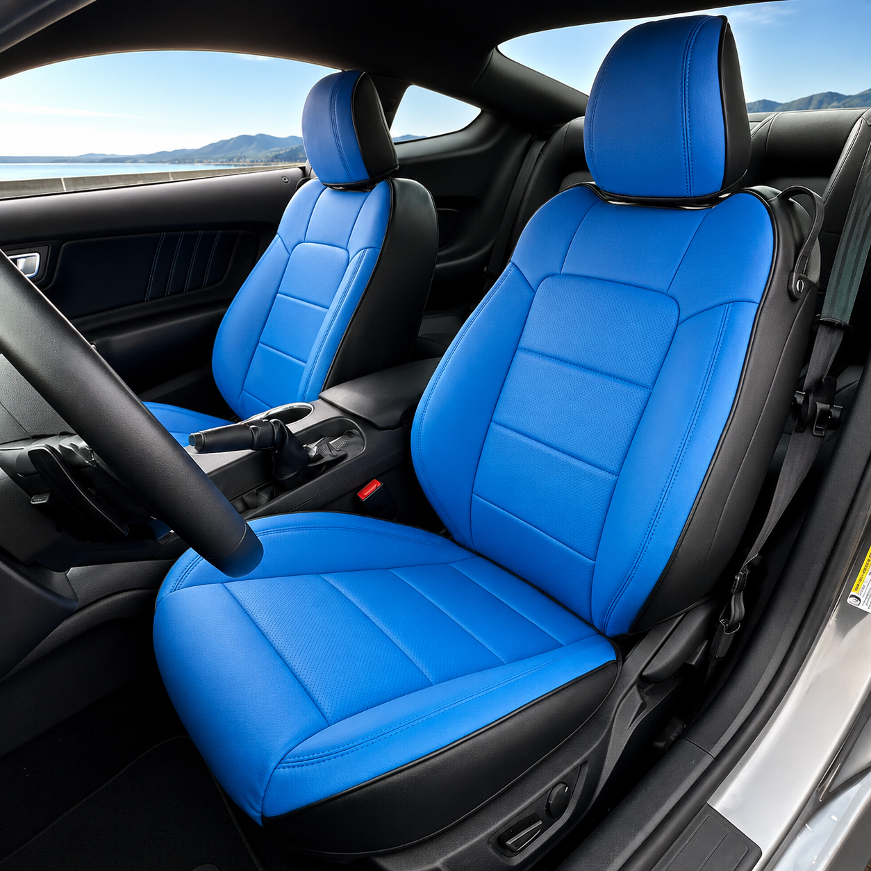 Black Blue5